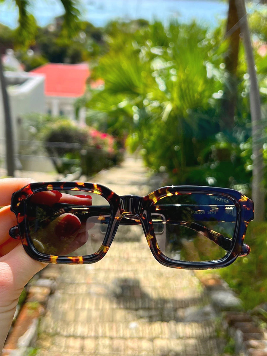 Hudson Sunglasses - Tortoise