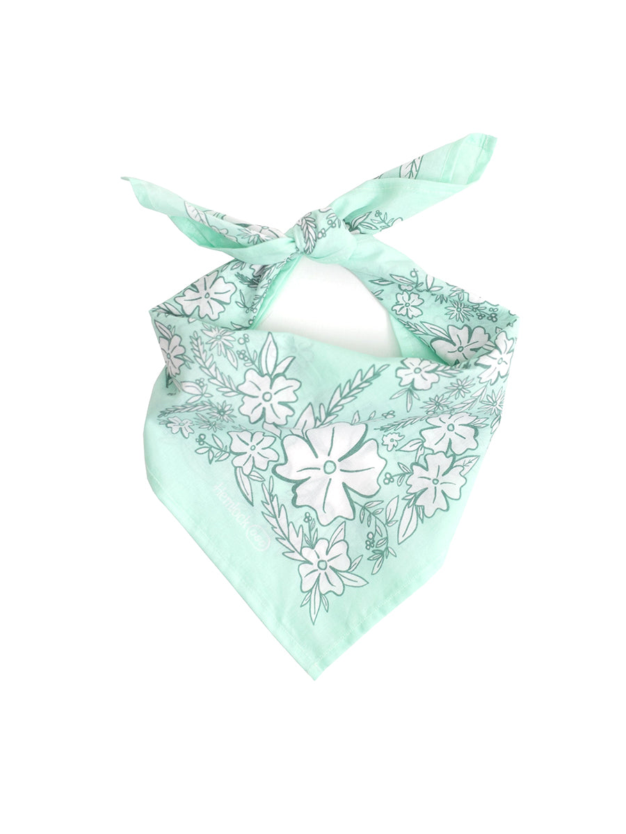 Carol Bandana