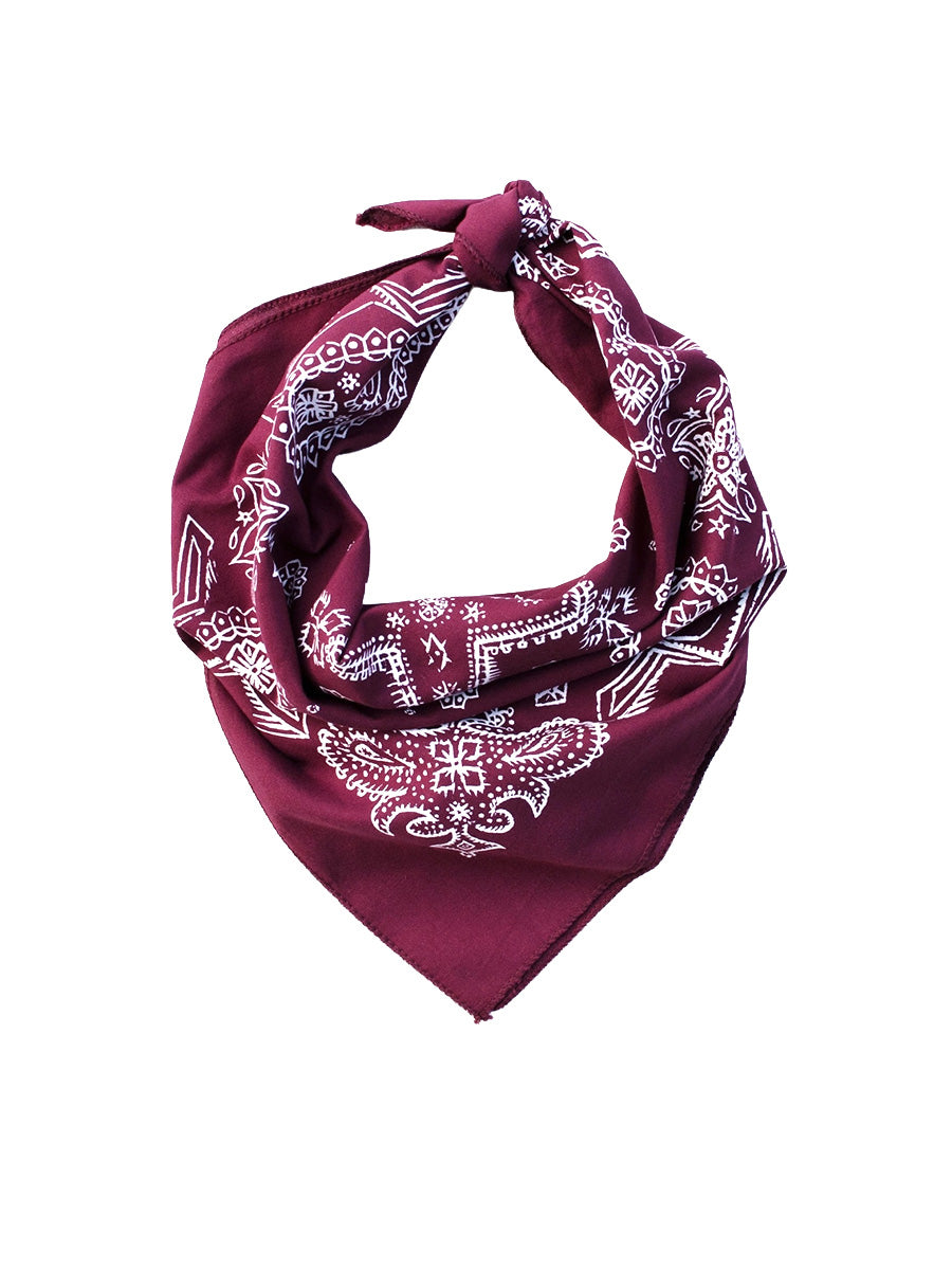 Sketched Paisley Bandana - Wine