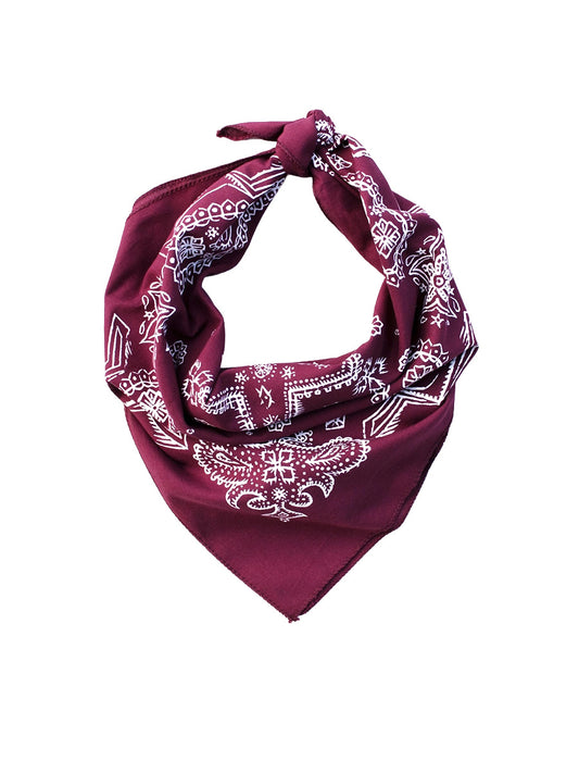 Sketched Paisley Bandana - Wine