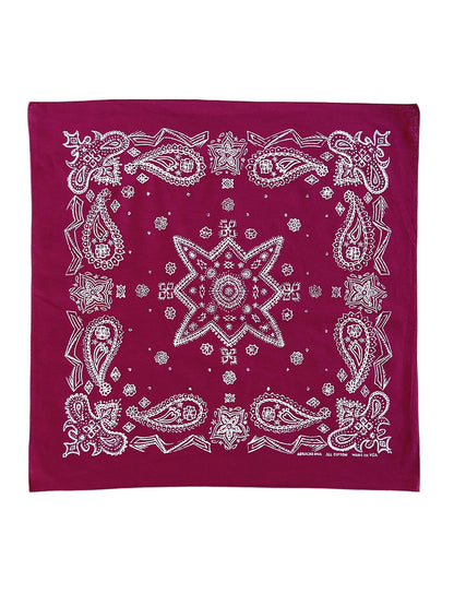 Sketched Paisley Bandana - Wine