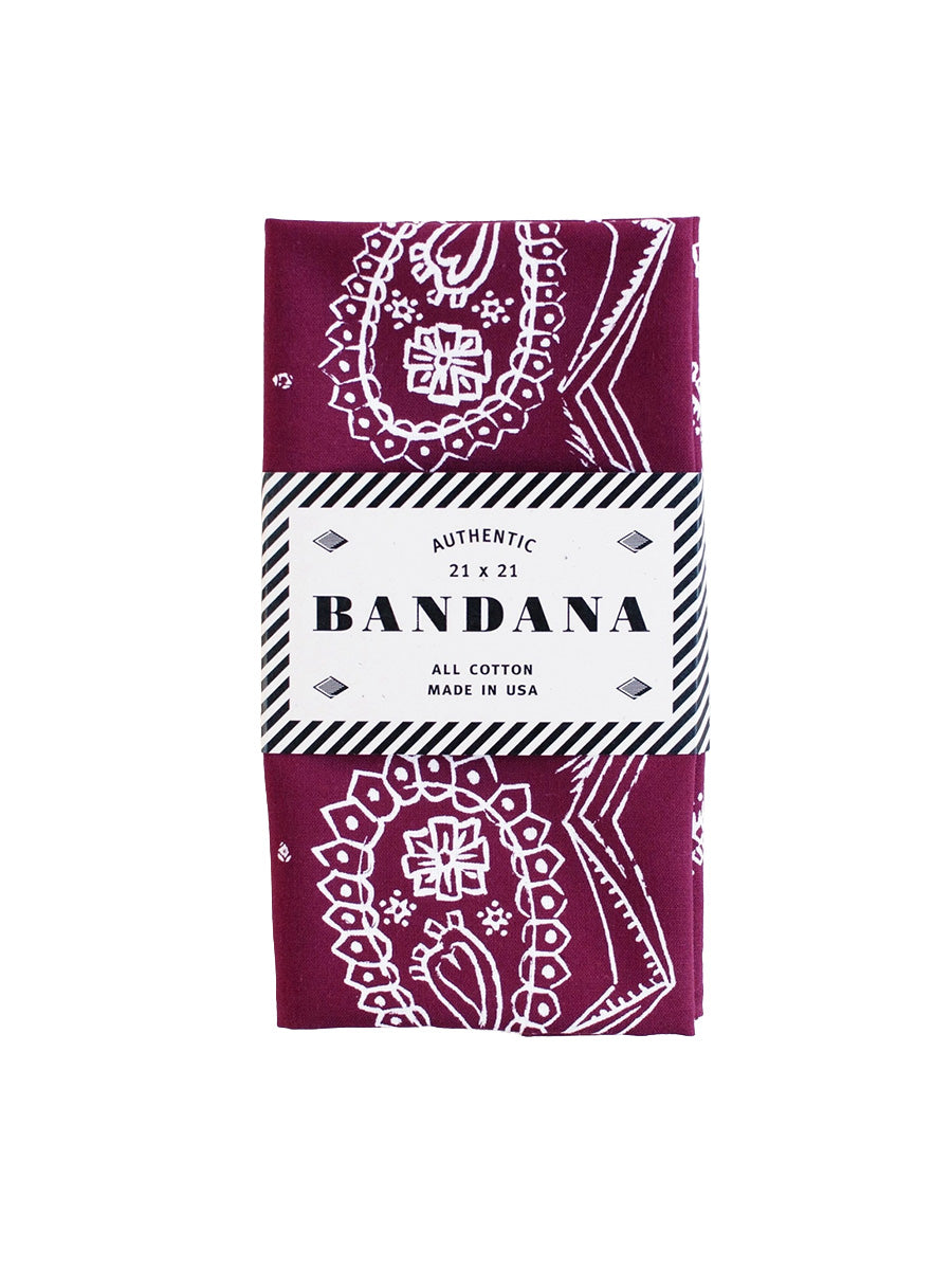 Sketched Paisley Bandana - Wine