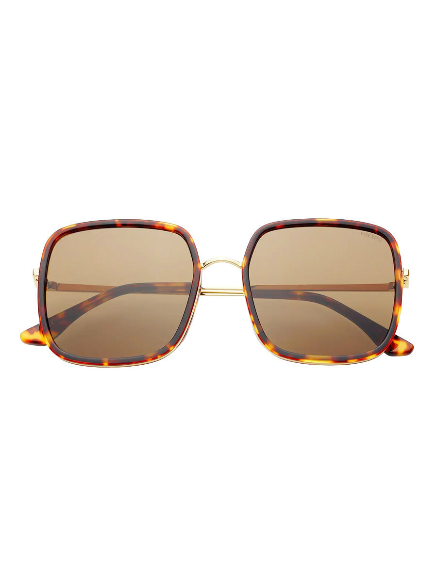 Cosmo Sunglasses - Dark Tortoise