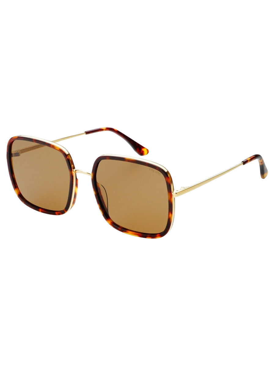 Cosmo Sunglasses - Dark Tortoise