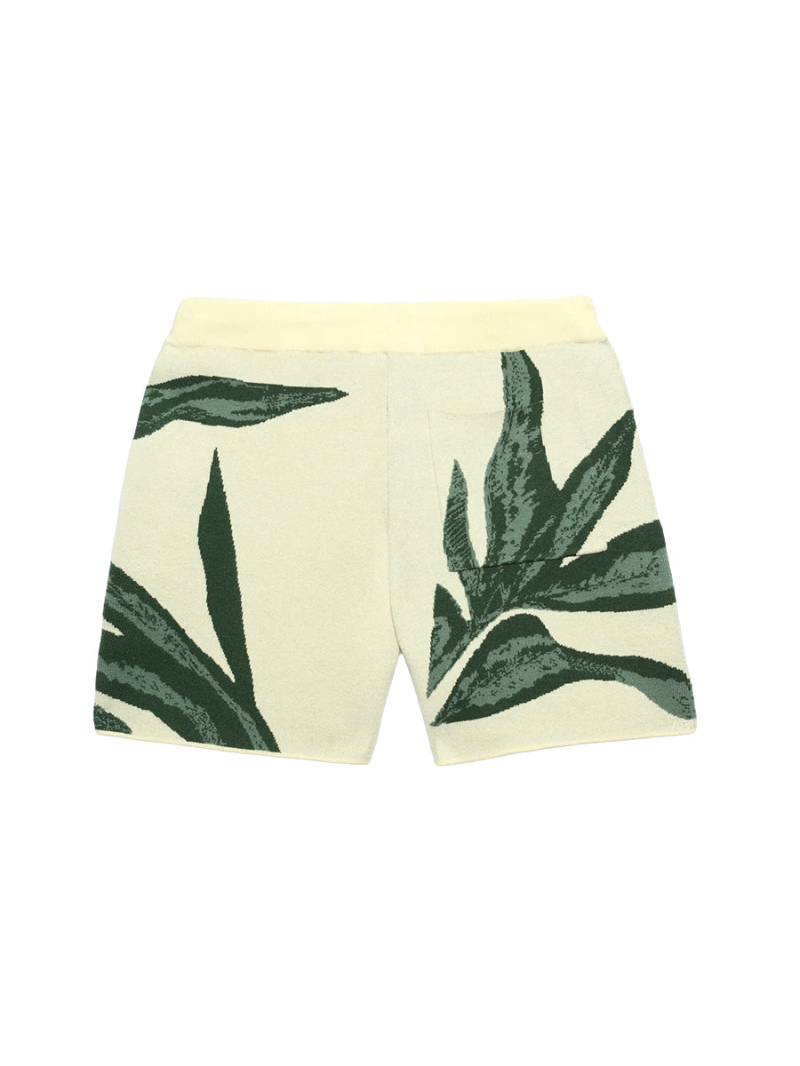 Jungle Knit Shorts